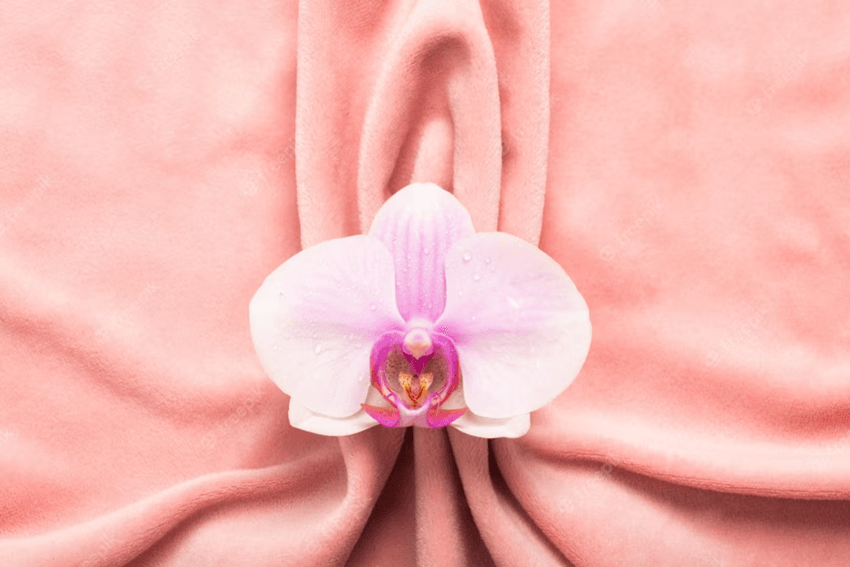 لابیاپلاستی عکس